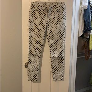 Ann Taylor Loft Polka Dot skinny jeans
